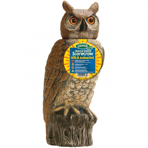 Owl Decoy with Rotating Head Owl Decoy with Rotating Head