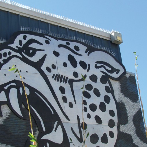 Clear Plastic Bird Spikes 5" (5"x6') Clear Plastic Bird Spikes 5" (5"x6')