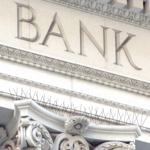 Bird-B-Gone 5inch Stainless Steel Spikes 5"x6' Bird-B-Gone 5inch Stainless Steel Spikes 5"x6'