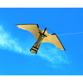 Peregrine Hawk Kites