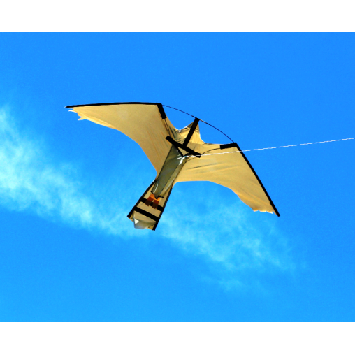Peregrine Hawk Kites Peregrine Hawk Kites