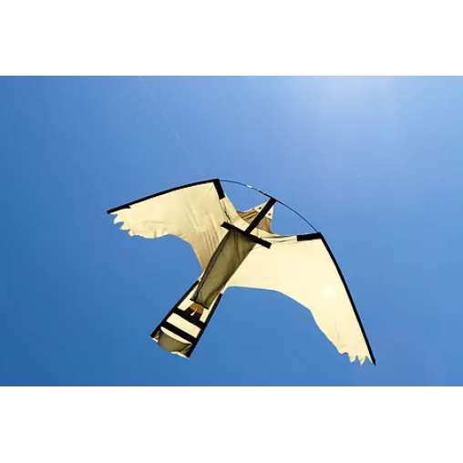 Peregrine Hawk Kites Peregrine Hawk Kites