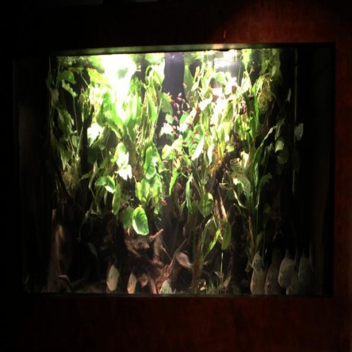 Liquid Rubber Waterproof Sealer Liquid Rubber Waterproof Sealer