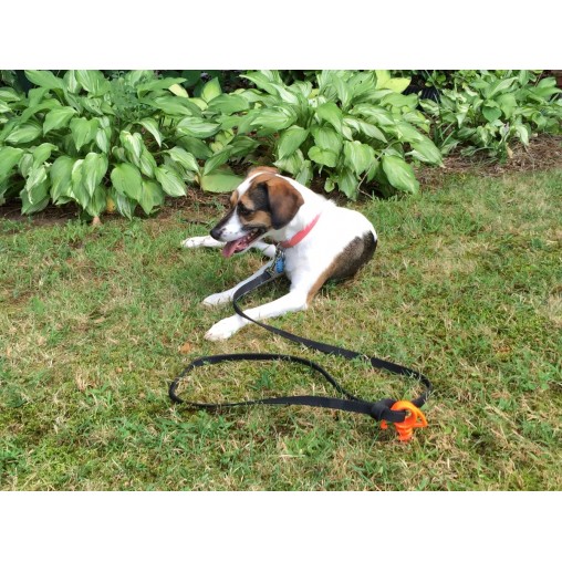 Orange Screw™ Small 4 Pack Orange Screw™ Small 4 Pack